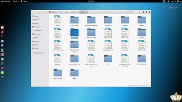 MITM   Bypassing HSTS