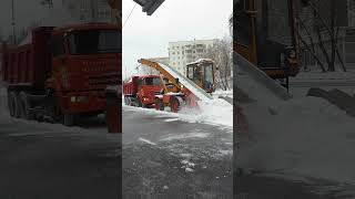 Снегоуборочный комбайн загружает снег в самосвал (январь 2024)