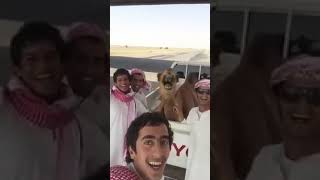 سعوديين زاحفين  والجمل يضحك معهم