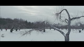 Video thumbnail of "Chloé Lacasse - Renverser la vapeur"