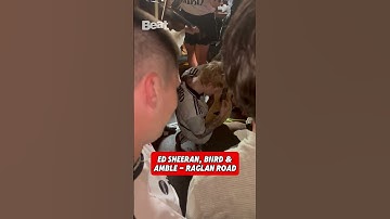 Thumbnail of Ed Sheeran, Biird and Amble - Raglan Road LIVE in Wexford Pub
