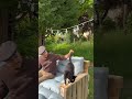 Pallet craft furniture