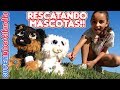 🐱 RESCATANDO MASCOTAS! 🐶 Rescue Runts gato, perro y unicornio!