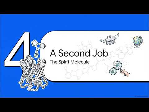 The sigma-1 receptor and endogenous DMT video explainer