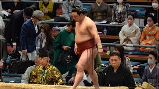 Enho suddenly OUT, Hoshoryu latest + Blast from the Past (Sumo News, Mar 7th)