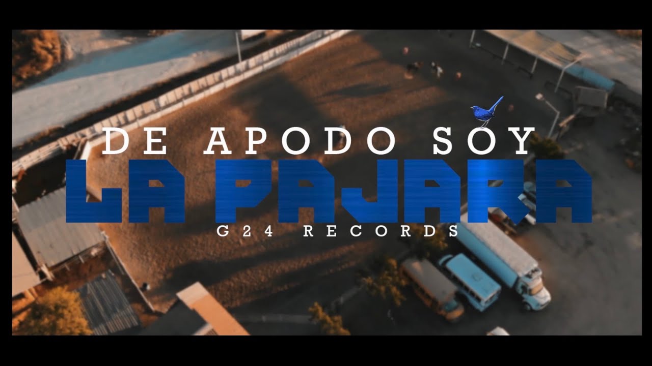 Cristian Tellez - De Apodo Soy La Pajara (en vivo)