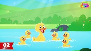 Five Little Ducks | Nursery Rhymes | Kids Song | Little Finger Rhymes