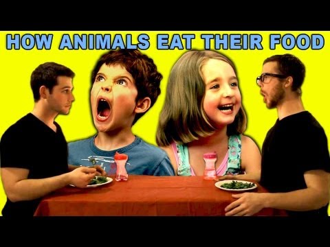 Kids React to How Animals Eat Their Food