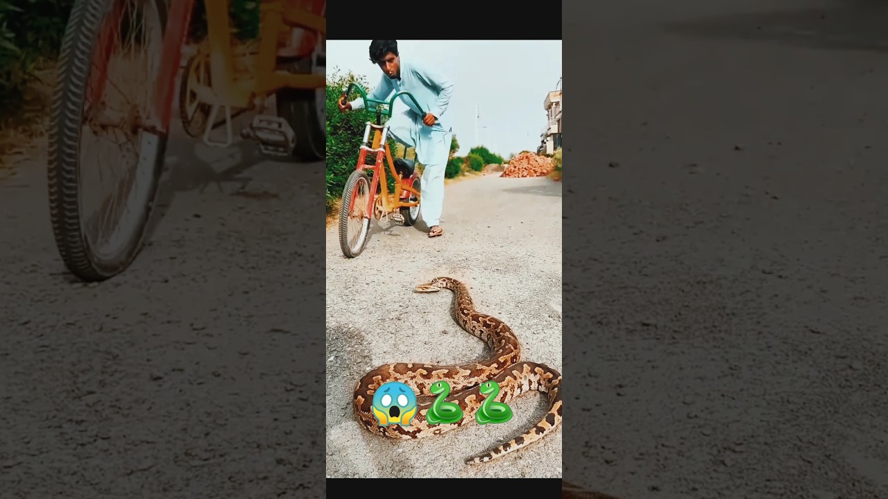 ajgar ne kya kiya🐍😱