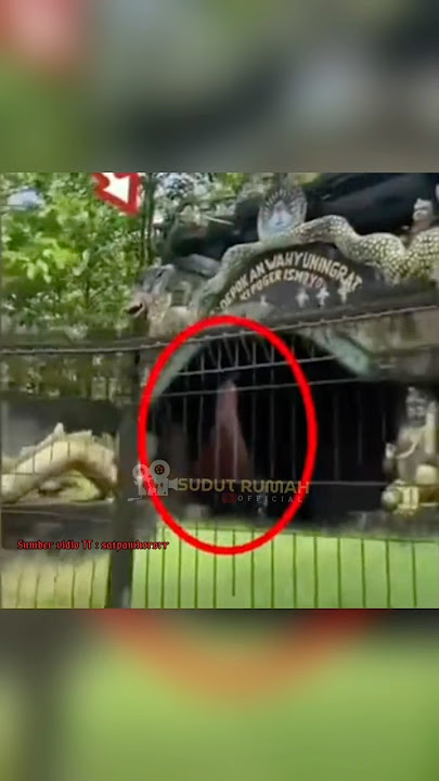 WARGA MEREKAM ADANYA PENAMPAKAN KUNTI MERAH DIPADEPOKAN INI #trending #shorts #creepy #jin #ghost