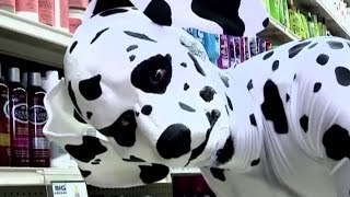 Dalmatian | The Eric Andre Show | Adult Swim Wealth