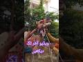 Eid Third day #eiduladha2026 #camelqurbani #camel2026 #animal #bakr #qurbanvlogs #bakraeid #camel