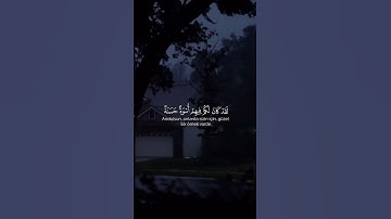 ربنا لا تجعلنا فتنة للذين كفروا واغفر لنا ربنا إنك أنت العزيز | الآية 5 من سورة الممتحنة #ياسر