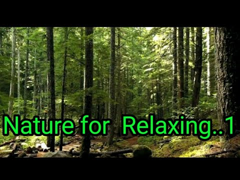 Relaxing v1.0 - YouTube