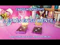 ✨ Estás en Su Mente ? 🙇🏻‍♀️💭 Almas Gemelas // Ex's 🔥 Tarot Interactivo✨