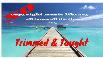 Trimmed & Taught/Rock/Dan Lebowitz/No Copyright Music Library