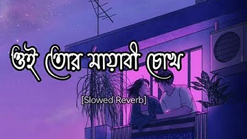 Oi Tor Mayabi  Chok- [Slowed Reverb]_ Arijit Singh ll Prem Korechi Besh Korechi ll Jeet_Koel ll