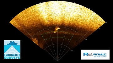 UWS - Whale and fish shoal in Forward Looking Sonar.
