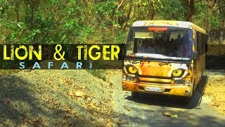 Indian Wildlife सिंह वाघ SAFARI | Sanjay Gandhi National Park In Borivali, Mumbai | Marathi Vlog