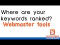 Where are your keywords ranked?