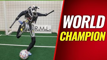 Unveiling Artemis, the Soccer-Playing Humanoid Robot Wonder