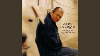 Video thumbnail of "Gary Primich - Pray For A Cloudy Day"