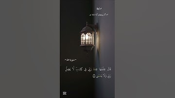 خشوع يهز القلوب  تلاوة تراويح مؤثرة بصوت القارئ مصطفى سليم #رمضان #قرآن كريم #قراءات رمضانية #ترتيل