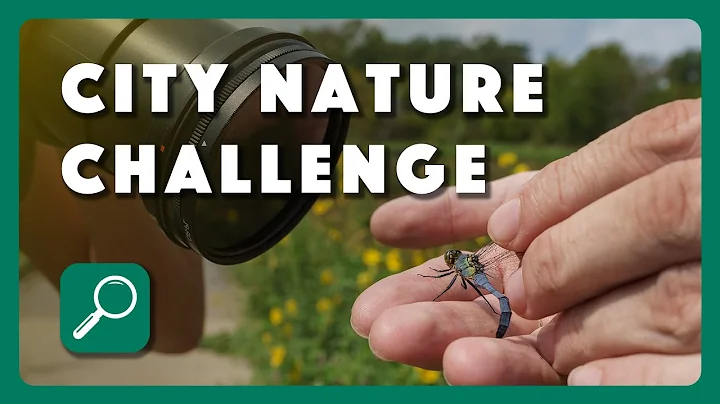 City Nature Challenge