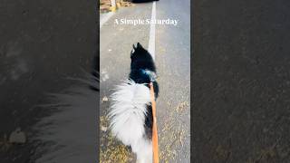 A Simple Saturday Life Beyond Code.