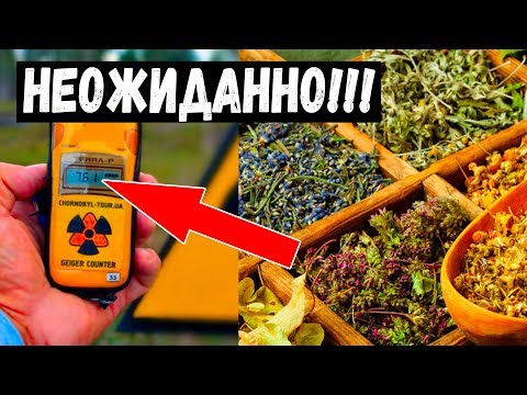 Какие растения помогают вывести радиацию из организма