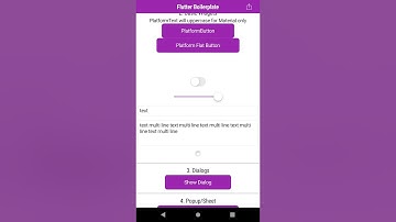 Flutter Boilerplate Flutter Platform Widgets test