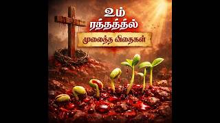 Download Lagu உம் ரத்தத்தில் முலைத்த விதைகள் tamil christian songs new 2026 MP3