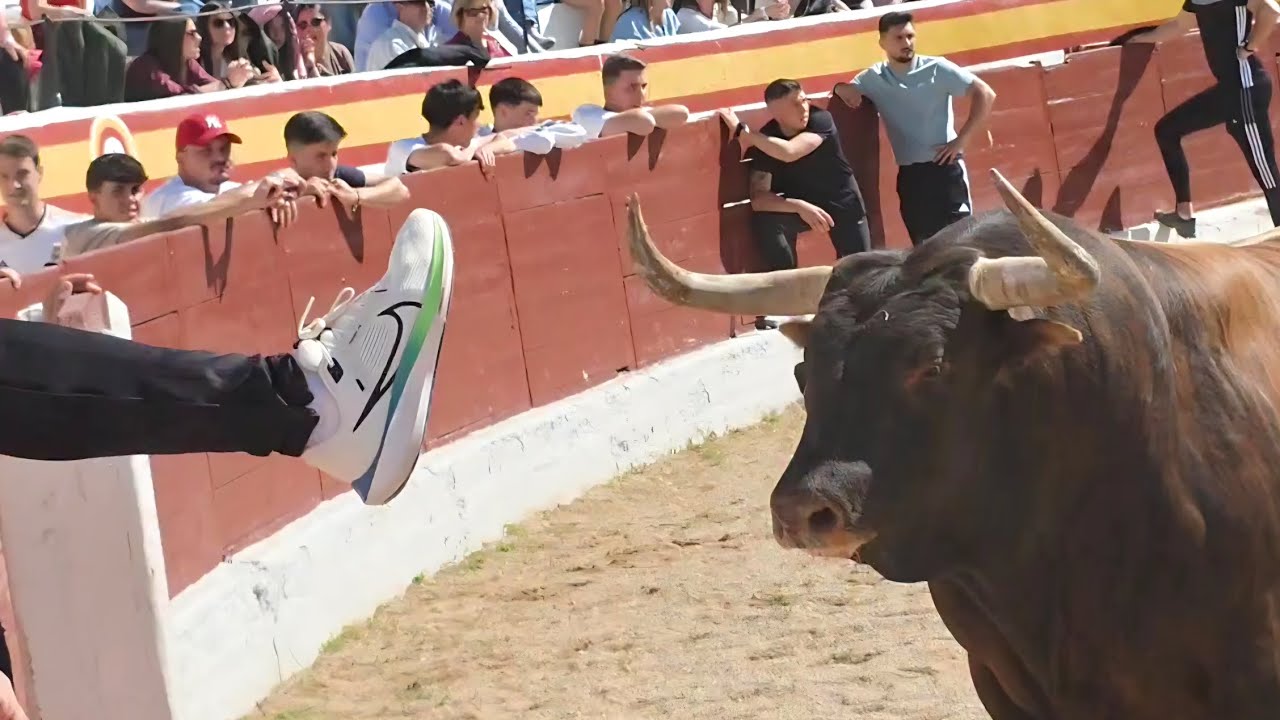 Le enseña el pie… y el TORO no perdona