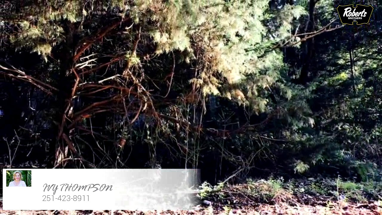 Lots And Land for sale - EUREKA 117, URIAH, AL 36444