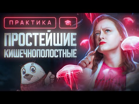 Простейшие. Кишечнополостные | ЕГЭ-2024 по биологии