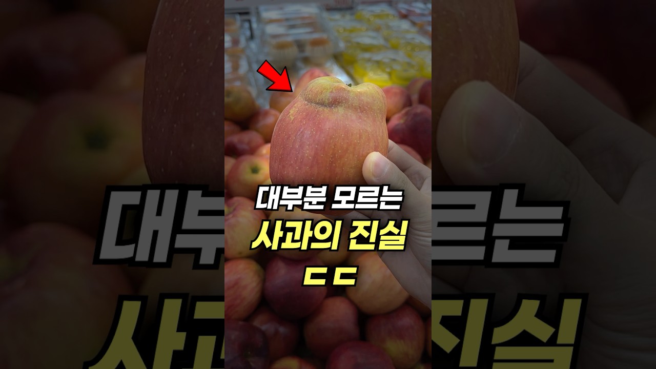 이런 사과는 절대 사지 마세요ㄷㄷ(사과 고르는 방법 3가지)