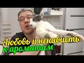 КАК МЫ ВЫБИРАЕМ ЛЮБИМЫЕ ПАРФЮМЕРНЫЕ БРЕНДЫ? ПОЧЕМУ НЕ ПРИЕМЛЕМ ИНЫЕ?