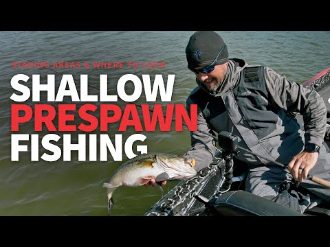 SHALLOW Pre-Spawn Bass Fishing (What to LOOK for!) – Bass Manager