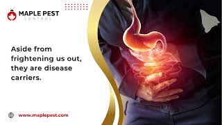 What to Do Prior to #Pest Control Treatment?