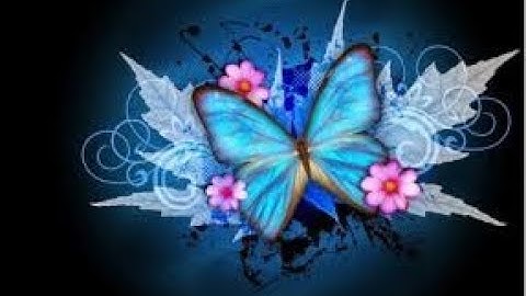 تلاوه قرانيه تخشع لها القلوب -اجمل صوت سمعته في حياتي -سوره ق