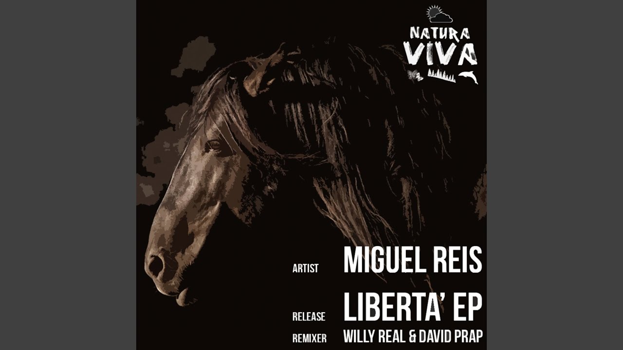 Step Into the Future (Willy Real & David Prap Remix)