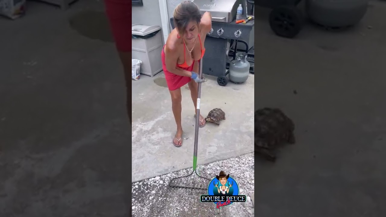 Funny, getting chores done at the Double Deuce Ranch. - YouTube