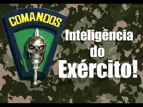 Vídeo: Quanto tempo dura o Bolc para a inteligência militar?