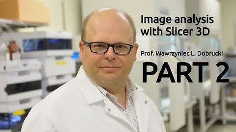 Analysis of CT images with Slicer3D. Part 2/3: Data set cropping and visualization.
