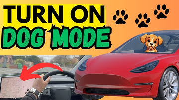HOW TO TURN ON DOG MODE IN YOUR TESLA! [EASY TUTORIAL]