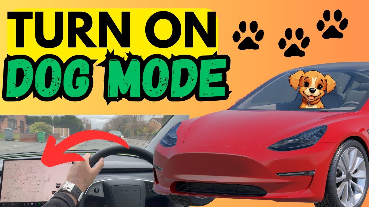 HOW TO TURN ON DOG MODE IN YOUR TESLA! [EASY TUTORIAL] - YouTube