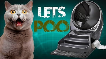 Litter Robot 3 Self Cleaning Cat Litter Box By Whisker- Unboxing, Test -