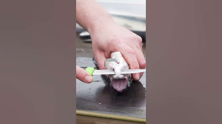 Forellen ausnehmen in 60 Sekunden mit diesem Trick 🔪