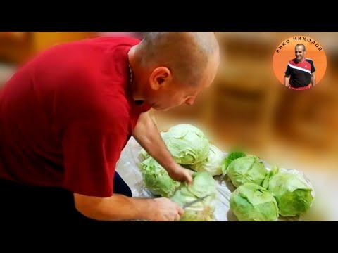 Видео: Как да си направим задушено руло от кисело зеле