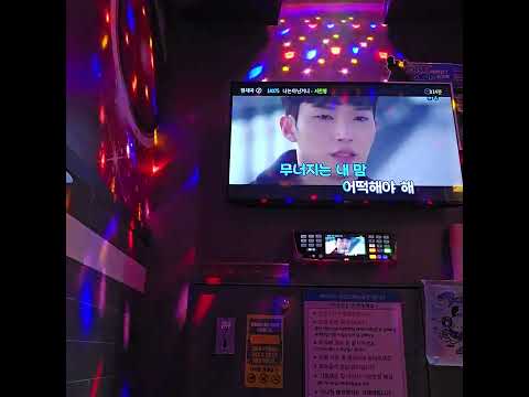 나는 아닌거니 - 서진영